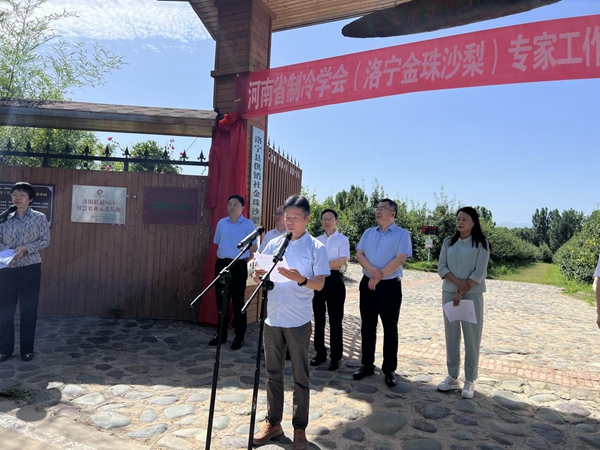 河南省制冷学会（洛宁金珠沙梨）专家工作站揭牌仪式在洛宁举行